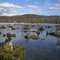 Laguna cercana a cerro Centinela