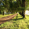 Campo Las Parejas