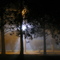 Noche de niebla Superior Tribunal de Justicia