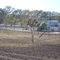 Villa Alonso Centro, Esp. Verde Juncal y J. P. Torroba