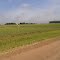 Camino de acceso Estancia Las Taperitas/g_tapiero