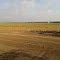 Campo Las Taperitas/g_tapiero
