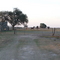 Caballos en el campo