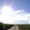 Camino a ruta 148