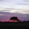 Atardecer sobre ruta 148