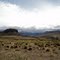 Ruta 242