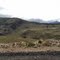 Ruta 242