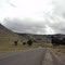 Ruta 242