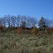 Nashville TN-Best Health Coaching Location-Nature
