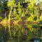 Nashville TN-Peace of Mind, Serenity-Benefits of Health Coaching