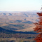 Loteo Fantasma, San Martin de los Andes, vista Junin de los Andes