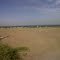 Hinojo Grande
