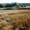 Estancia Augustura -Argentinien _H.W.
