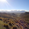 Camino entre Lago Icalma, Chile y Zapala, Patagonia Argentina
