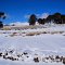 Llegando a Primeros Pinos. Invierno 2013.