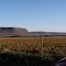 La Sierra y la Soja