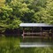 Old Wood Dock on Tims Ford Lake