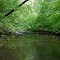 Rock Creek Northwest of Estill Springs, TN