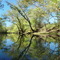 Elk River near Tims Ford Dam