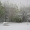 El jardin de papi. Invierno  en 28 de Noviembre