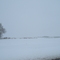 Invierno 2007