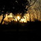 Atardecer en el Parque Ecologico Urbano
