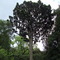 Árbol de cristal
