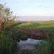Canal