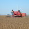 Cosecha SOJA 2008