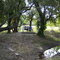 el campito del tio roke