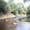 bosquesillo_riacho San Hilario