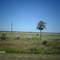Ruta 11 camino a Formosa
