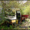 Tennessee Treasure Blount County