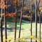 Rarity Pointe's Bob Cupp golf course