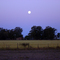 Atardecer