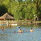 Pique Club Gral. ALvear Mendoza