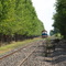 Tren NCA