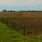 Nuestro Campo