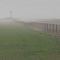 Viento en el campo