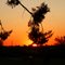 ATARDECER EN LEVALLE!!!!