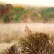 Smoke on the Water