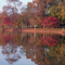 Anchor Park
