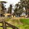 finca