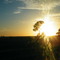 angel Etcheverry