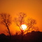 Cae el sol