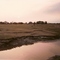 Rio Gualeguay detras de Soychu. jjm