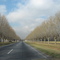 Campo de Mayo-invierno-perspectiva perfecta