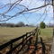 Barfield,TN