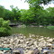 stones river