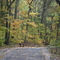 Walking The Trails